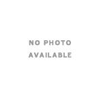 #25 E String for Caswell 31 String Harp