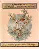 The Harp of Brandiswhiere book