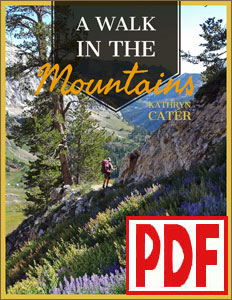 A Walk in the Mountains by Kathryn Cater PDF Download